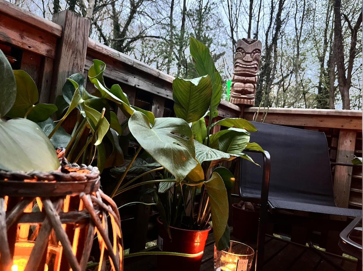 Tiki House M-Home-Climatise - Belle Parcelle ! Saint-Chéron Εξωτερικό φωτογραφία
