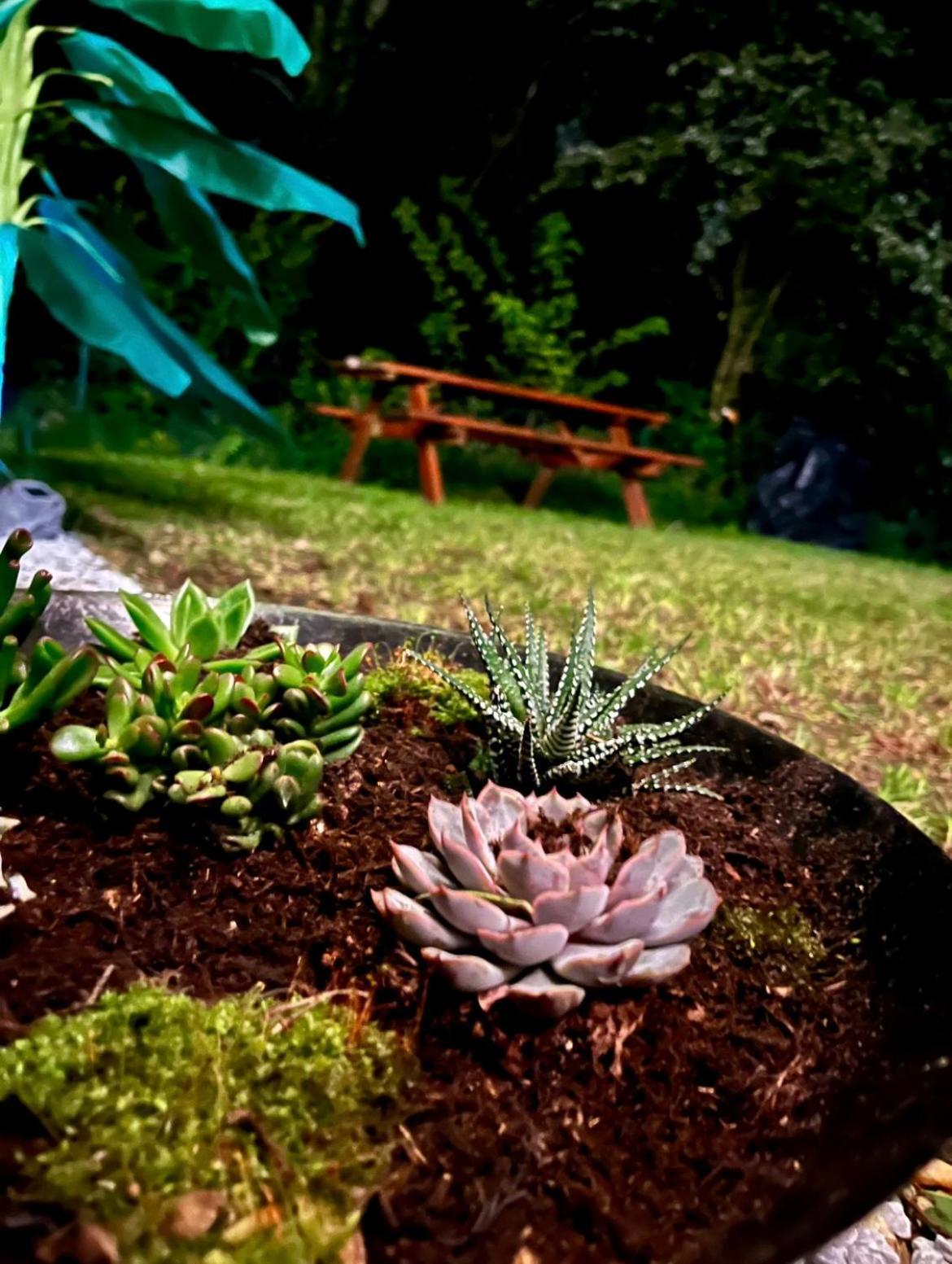 Tiki House M-Home-Climatise - Belle Parcelle ! Saint-Chéron Εξωτερικό φωτογραφία